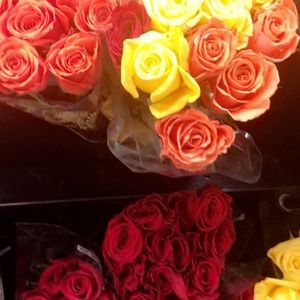 Meet your Posher, Bridget